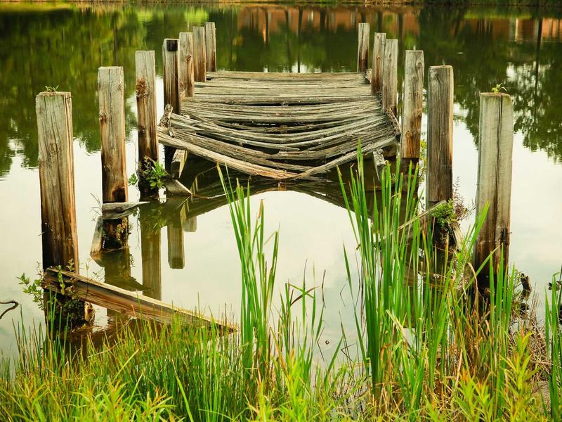 feedback screenshot 2